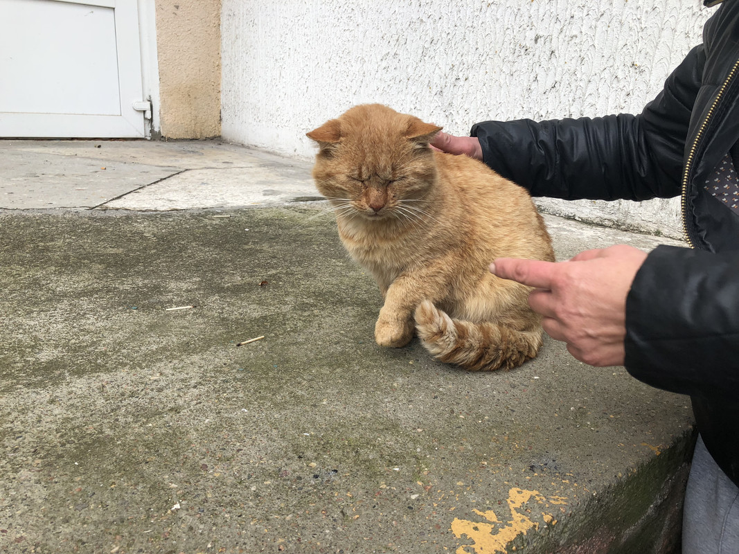 45B5675C-CDFE-4D79-96D1-FF7AE32FD392