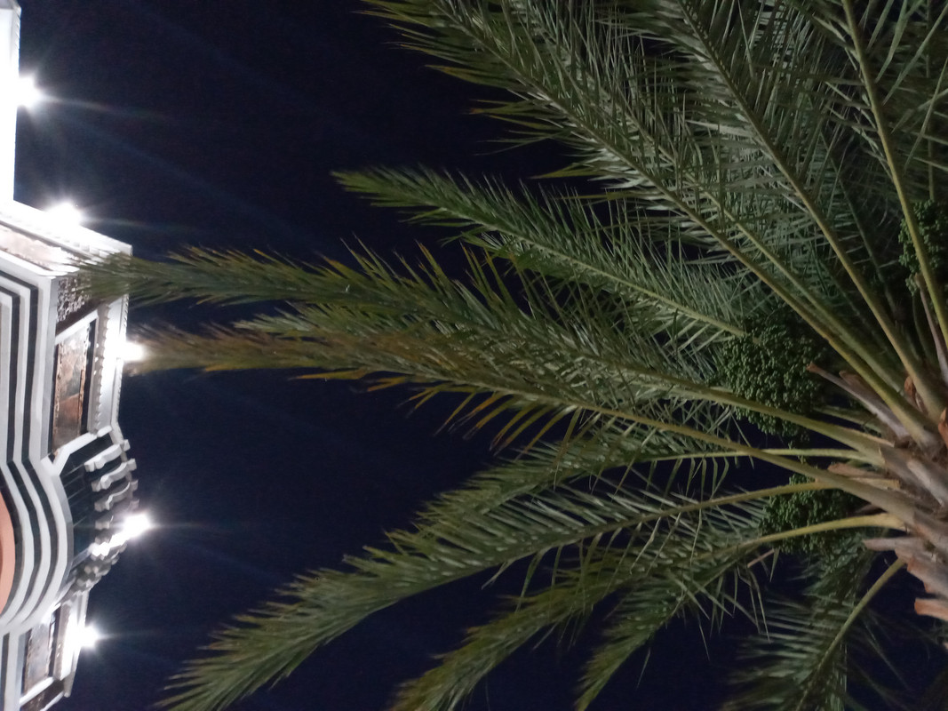 ٢٠٢١٠٦١٨_٢٠٠٣٥٤