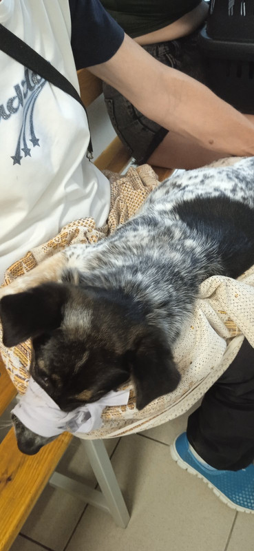 C129C5ED-7818-4B83-A7FC-BB1FB0E3ADF2