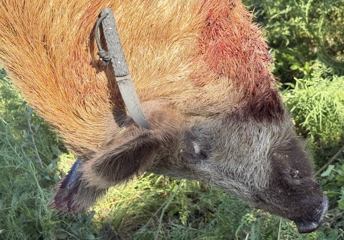 Screen Shot 2025-08-06 at 10.54.14 PM