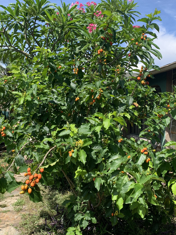 AF3635CB-6C3B-4FE0-8EB2-95D03F8419FA