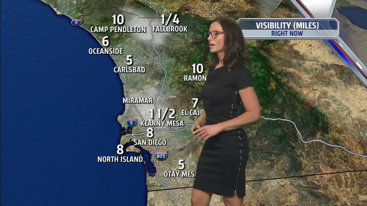 06.02 - 13.00.00 - FOX 5 Morning News at 5 00am  ᴺᵉʷ. Local news, wea....ts_snapshot_33.12_[2021.06.