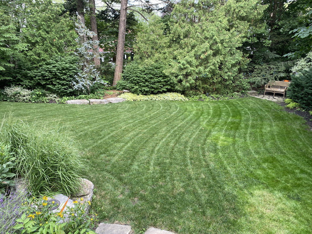 B0F6DD73-C068-497B-AF32-662139466C0B