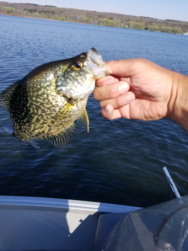 20180509_091007