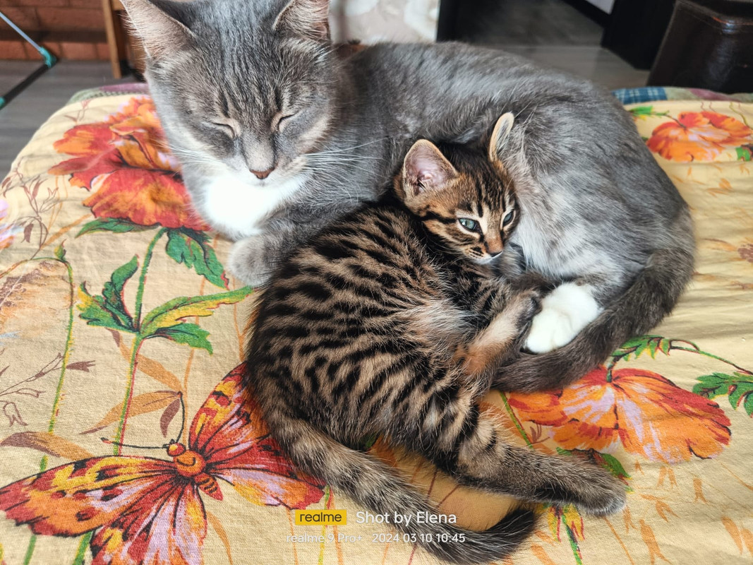 WhatsApp Image 2024-03-10 at 11.17.28 (1)