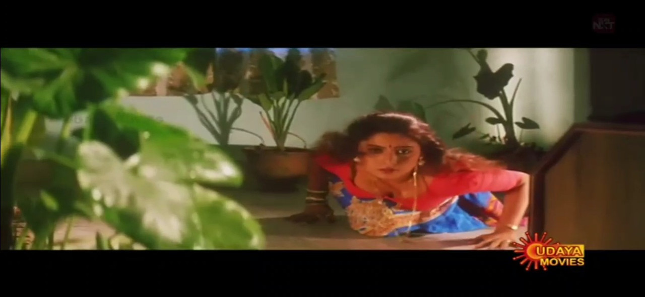 VideoCapture_20231105-122413