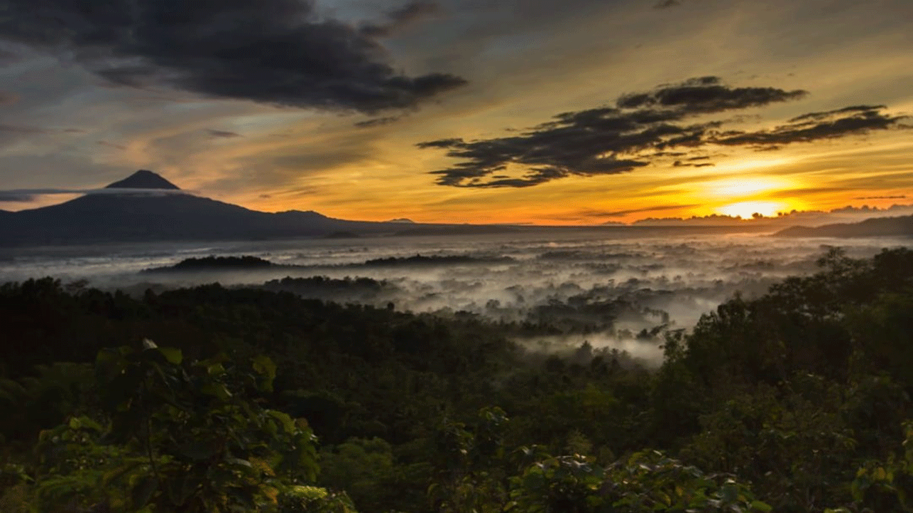 Punthuk Setumbu: Menyaksikan Golden Sunrise di Atas Negeri Kabut Borobudur