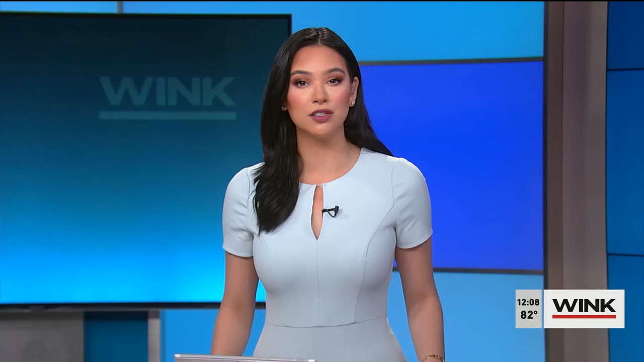 03.22 - 16.00.00 - The WINK Noon News. News..ts_snapshot_15.20.438
