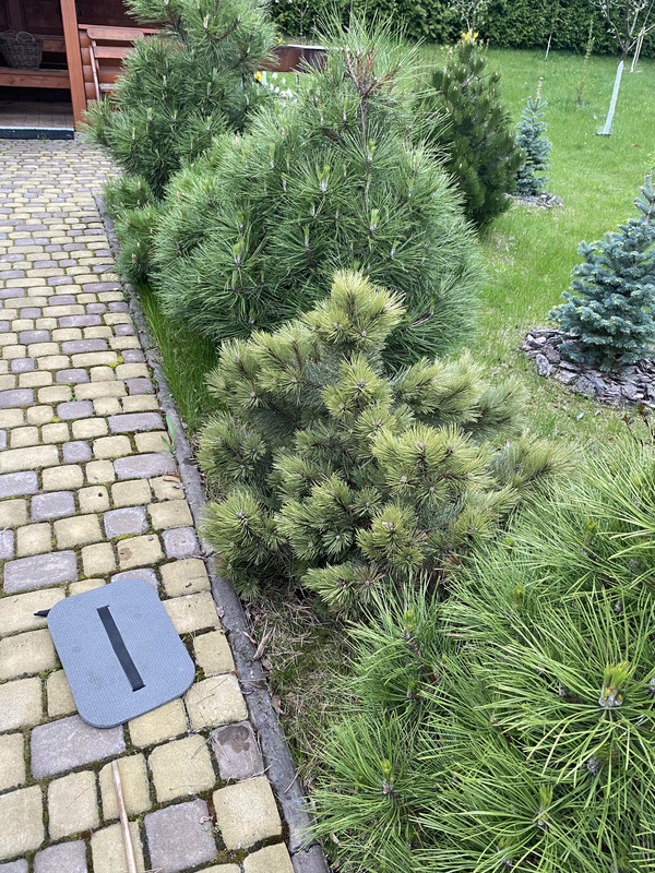 9EF92C2F-F00D-479E-98BF-DE9245976DF8