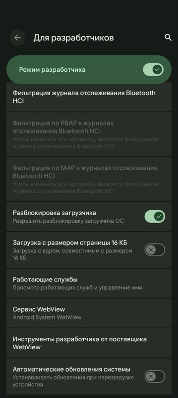 photo 4 2026 02 08 16 20 05