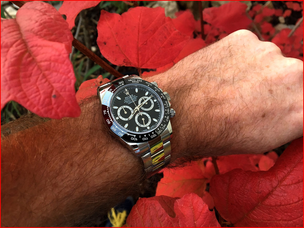 HOMMAGE à ZEN : ici notre plus beau bouquet de ROLEX ! - Page 3 IMG-2496