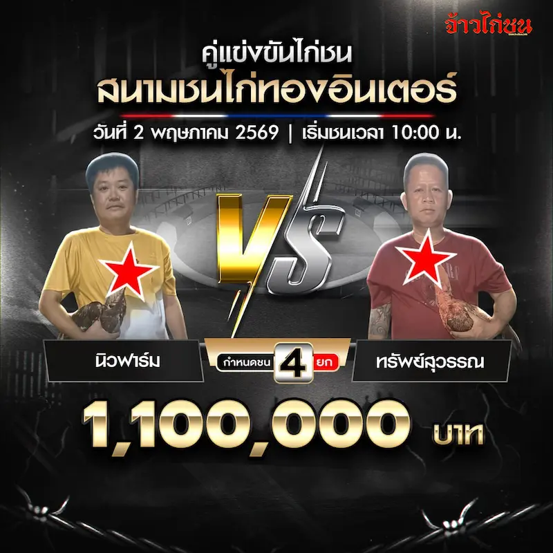 นิวฟาร์ม พบ ทรัพย์สุวรรณ สนามชนไก่ทองอินเตอร์ 2 พฤษภาคม 2569