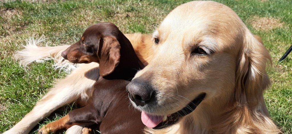 2F49FEA1-ED39-4340-890E-86665232910A