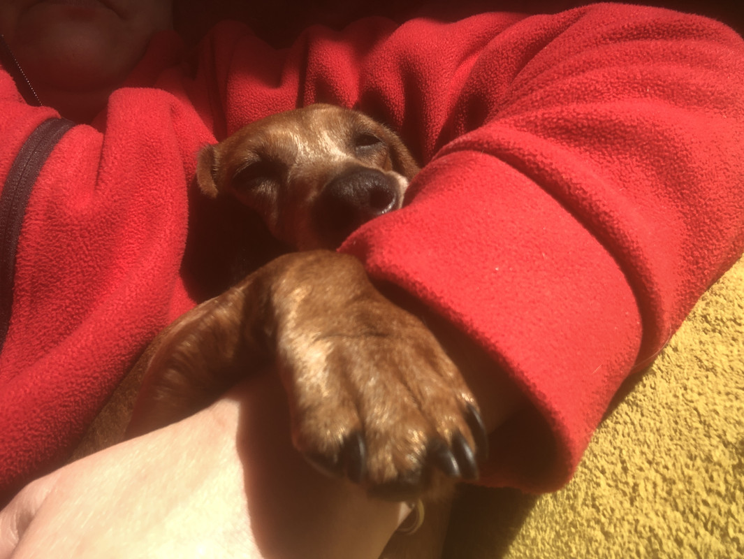 [Image: IMG-3043.jpg]