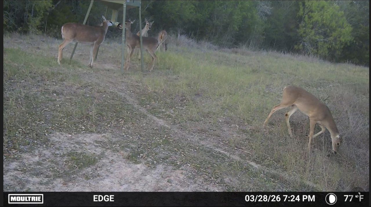 Screen Shot 2026 03 29 at 3 15 46 PM