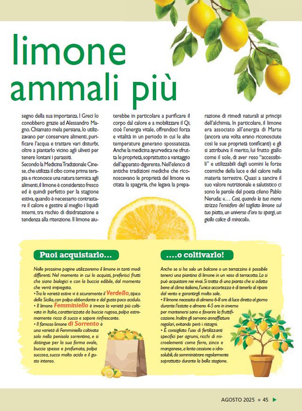 Sal Nat Ago 2025 (6)