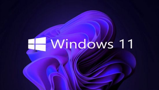 Windows 11 Pro 21H2 22000.527 (x64) Lite No-TPM Preactivated