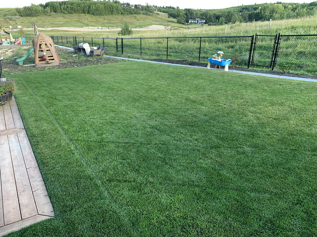 7F742015-4E92-4966-A9B8-FDF22D6F8E74