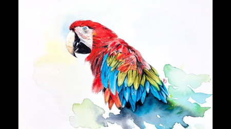 Macaw Watercolour - clean colours and simple brushstrokes