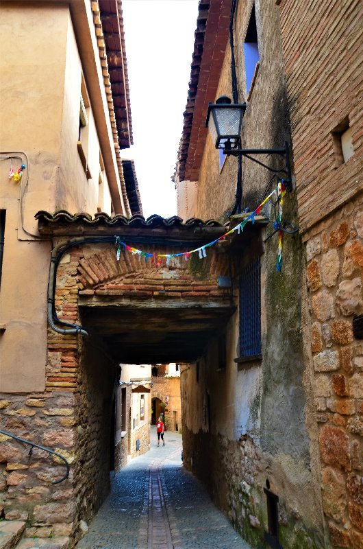 ALQUEZAR-19-4-2017-HUESCA - Los pueblos más bonitos de España-2010/2023 (95)