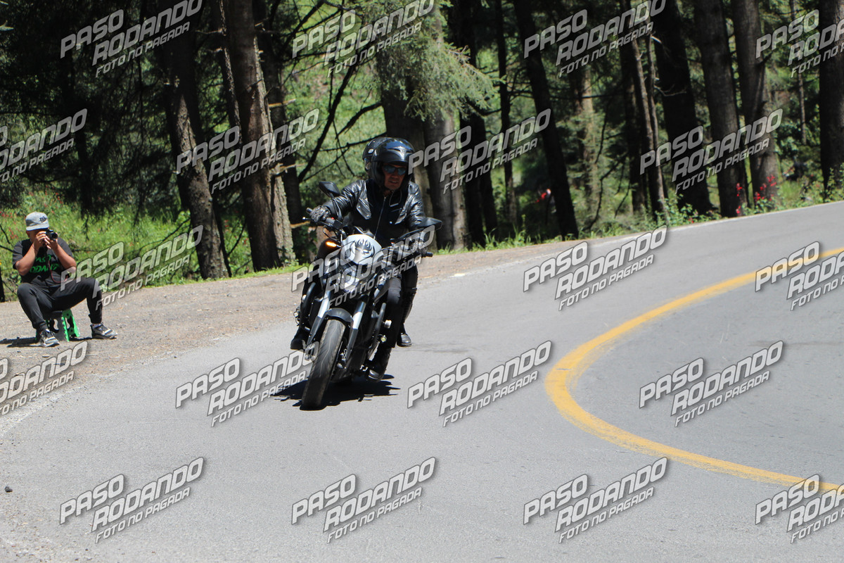 IMG 5241 wm 15581297 5 watermarked — Postimages