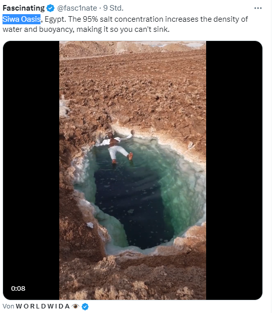Wasserloch in Oase Siwa