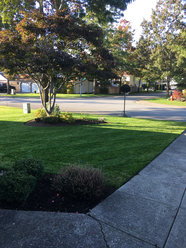 EEA3864F-6147-4D58-90DA-83632F1B5D24