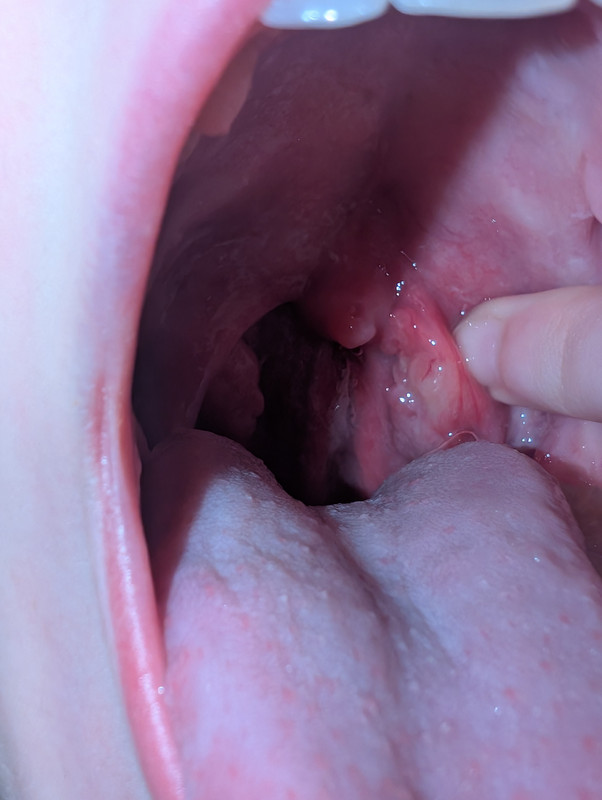 PXL 20260323 025543733