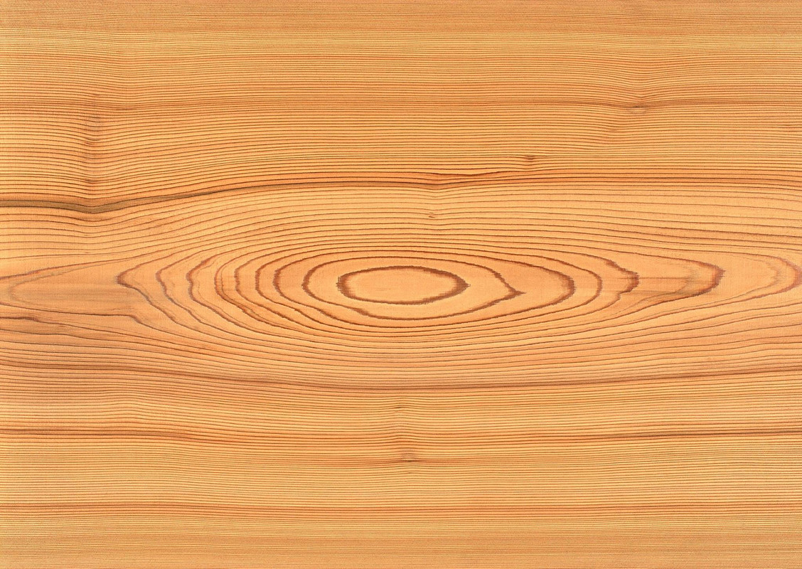 wood-texture-3dsmax (455)