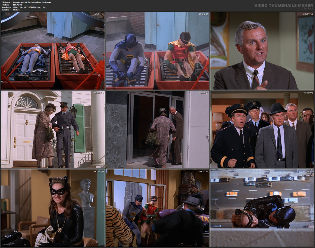 Batman S02E04 The Cat and the Fiddle.mkv