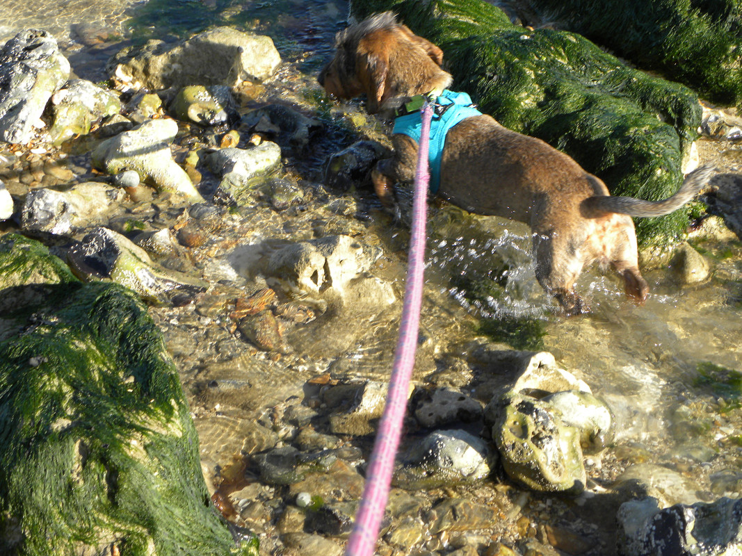 [Image: DSCN9539.jpg]