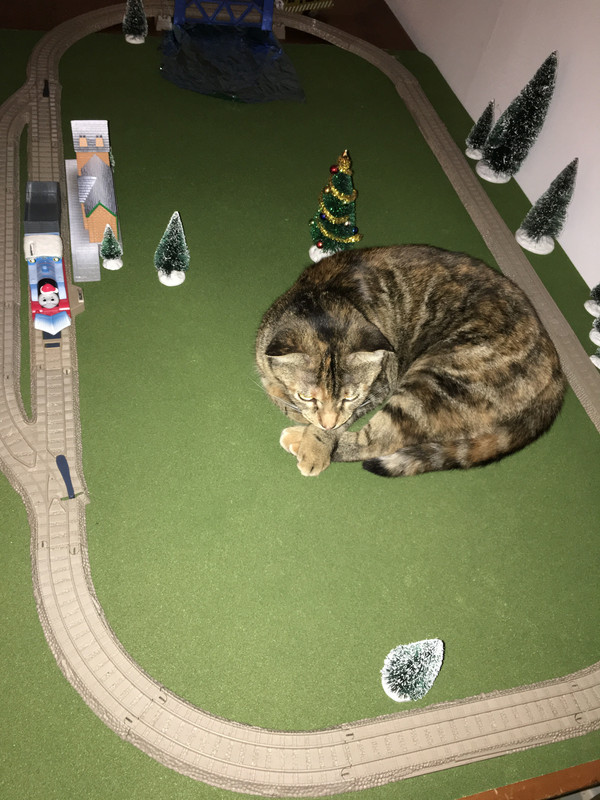 51B5282E-B9C7-4A10-A33D-97CDA1946580