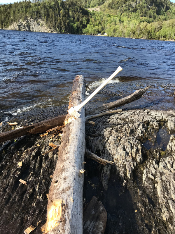 D61CFCEF-5CF6-4ABA-B501-5573448F8B43