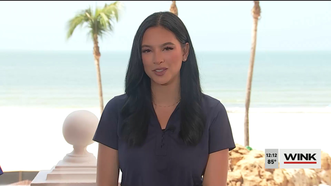 03.28 - 17.00.00 - The WINK Noon News  ᴺᵉʷ. Midday news update..ts_snapshot_19.28.208