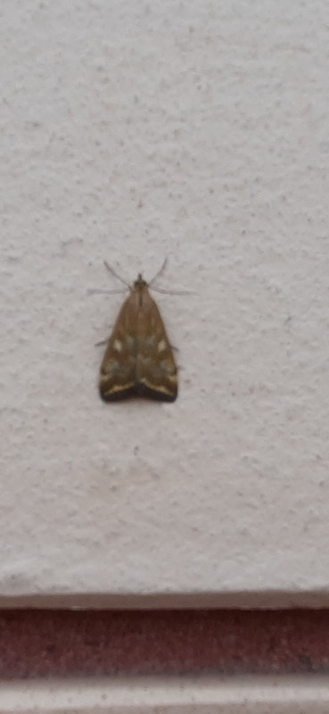 20220711_085537_resized(1)