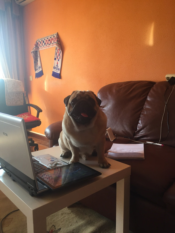 34B822D5-EA69-4710-A14E-5923E832EE14