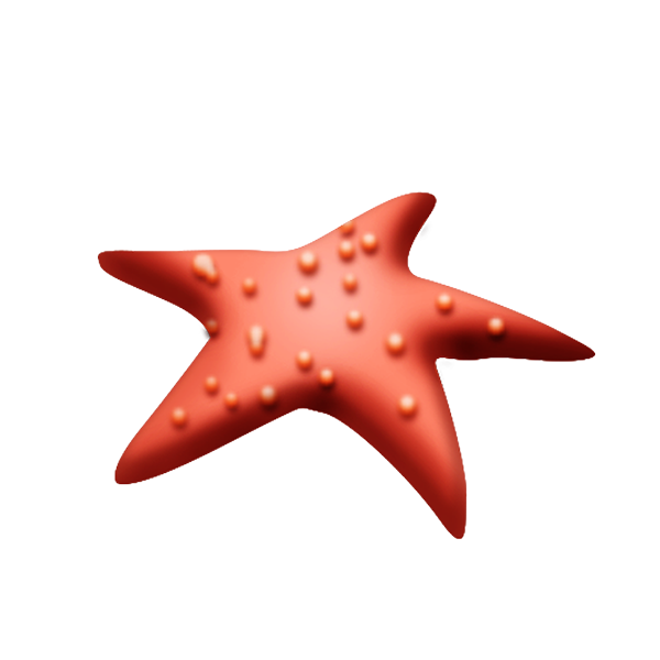 KBK_AdventureIsland (128)
