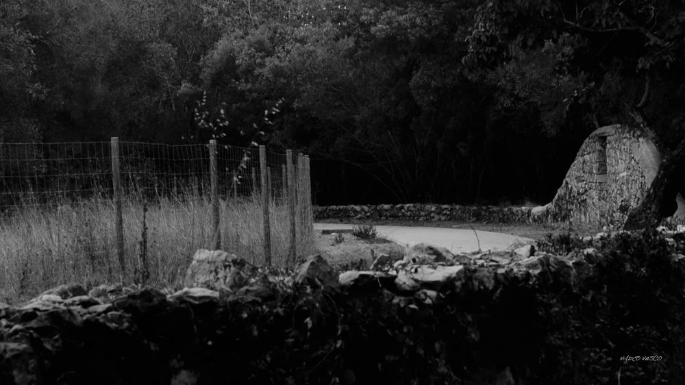 Hive-Vinhas-Ruins-Bn-W-09.jpg