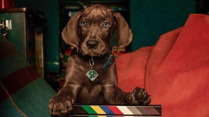 scooby-doo-fi-gravacoes-netflix-e1789311657592