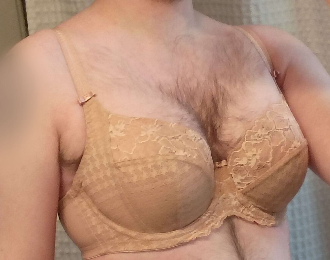 envy 32dd 2