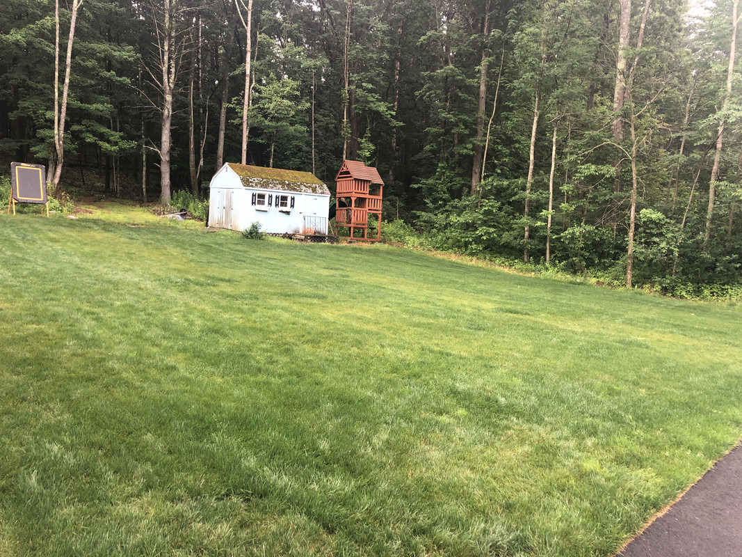 5B0CF9B8-9D33-47A1-90F1-3F8AA2B6EC52