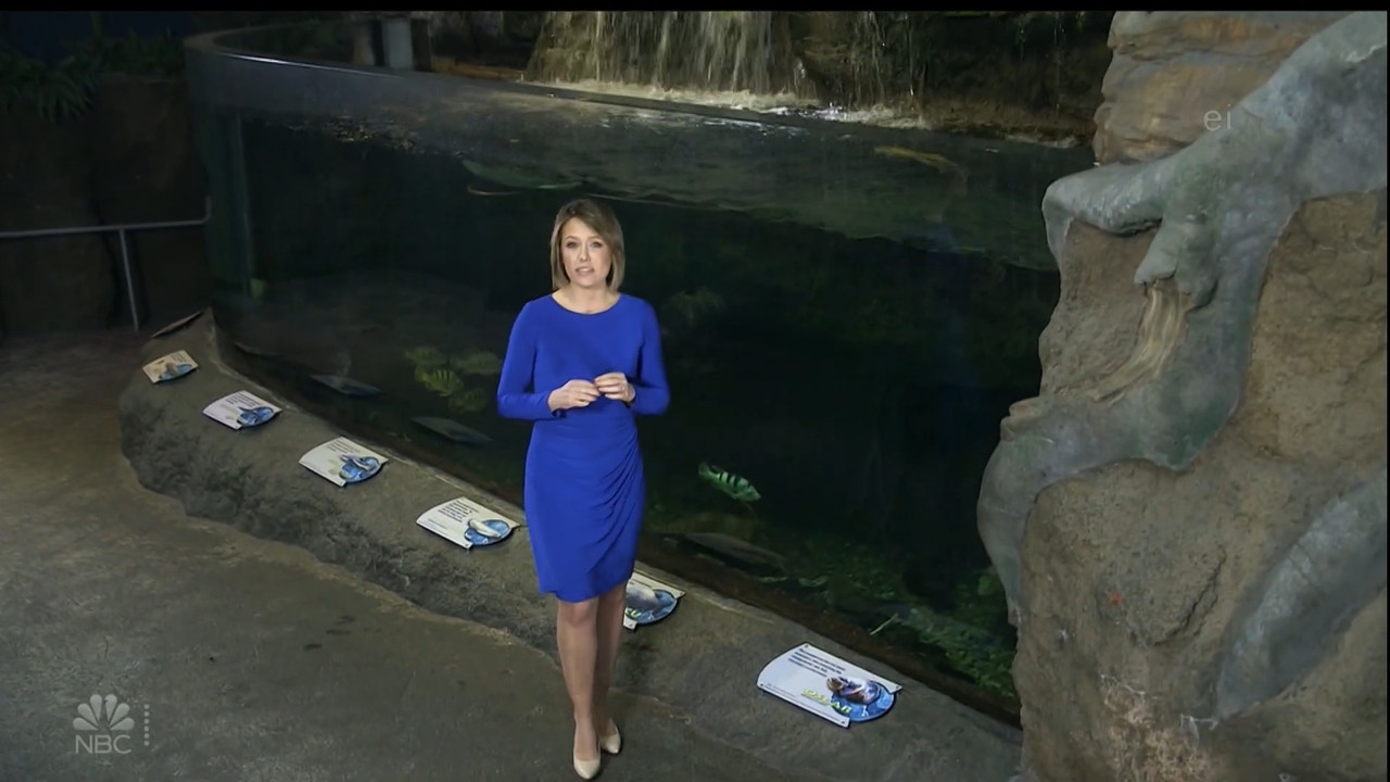 11.07 - 15.00.00 - Earth Odyssey With Dylan Dreyer. The world's smart....ts_snapshot_00.14.43.288