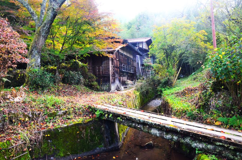 Tsumago-Juku-16-11-2024 - Japón y sus Pueblos-2024 (62)