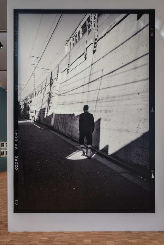 06b4 DSC05878_DxOVP - Persp FL (FCR - Luci -50 - Chiar  50)