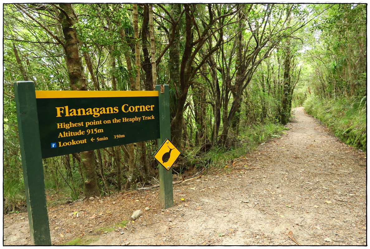 Escapadas y rutas por la Nueva Zelanda menos conocida - Blogs de Nueva Zelanda - Kahurangi NP: Heaphy Track (Navidad 2020, III) (9)