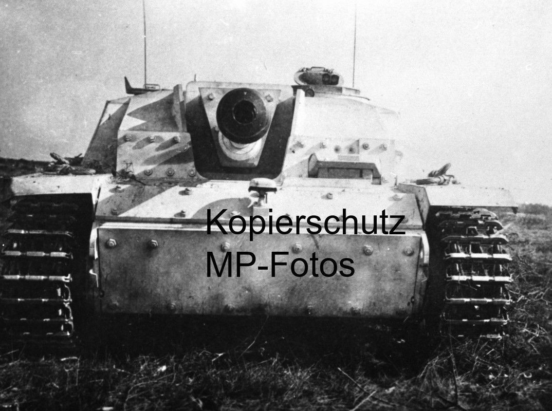 Panzer Sturmgeschütz StuG Langrohr und Fotoabzug