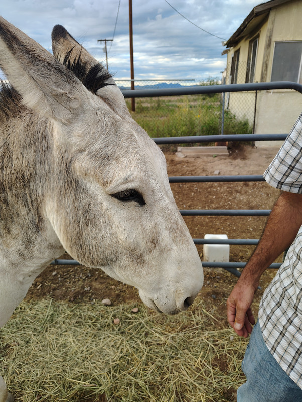 IMG_20250918_182952929_HDR