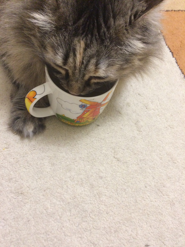 62A70EE4-EFF7-4A6A-8984-AD7A58A0F676