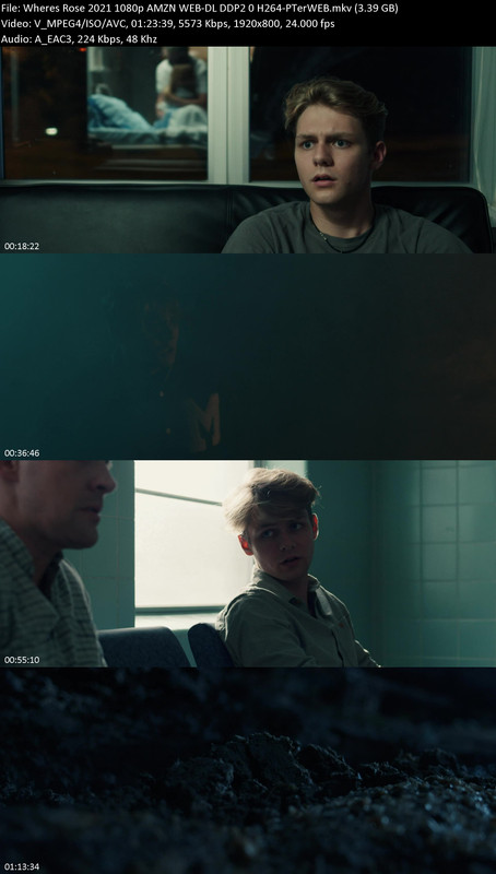 Wheres-Rose-2021-1080p-AMZN-WEB-DL-DDP2-0-H264-PTer-WEB.jpg