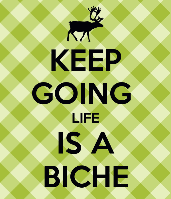 https://i.postimg.cc/PrmH5qj2/keep-going-life-is-a-biche.png